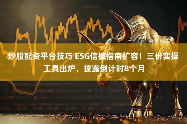 炒股配资平台技巧 ESG信披指南扩容！三份实操工具出炉，披露倒计时8个月